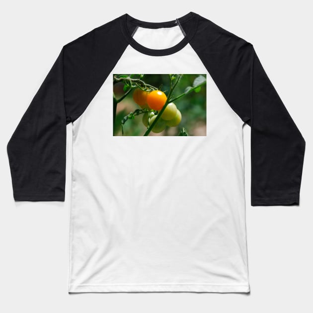Orange Tomatoes Ripening on the Vine Baseball T-Shirt by jojobob